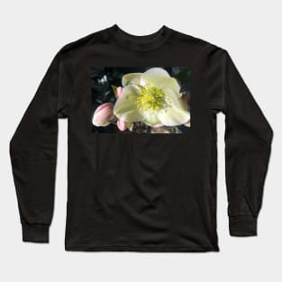 Radiant Heart of the Tender Winter Hellebore Long Sleeve T-Shirt